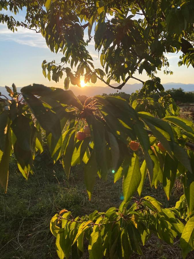Nena Dashuri Agroturizem Peshkopi Zewnętrze zdjęcie